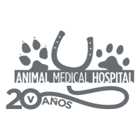 Animal Medical Hospital